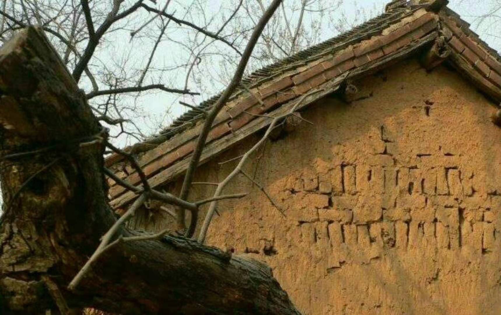 2064154957.jpg